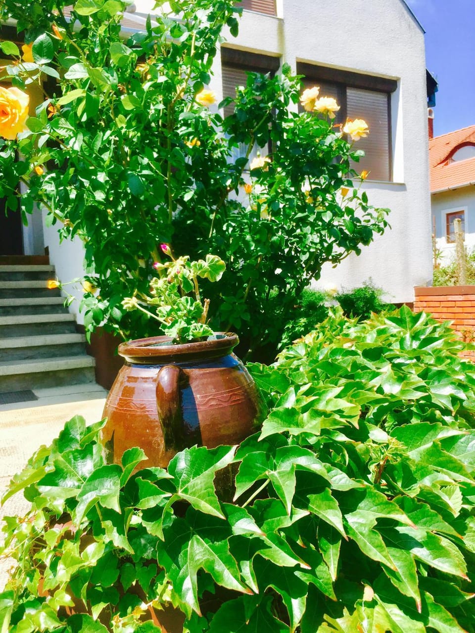 Rózsahegyi No.5 Apartment in Hungary