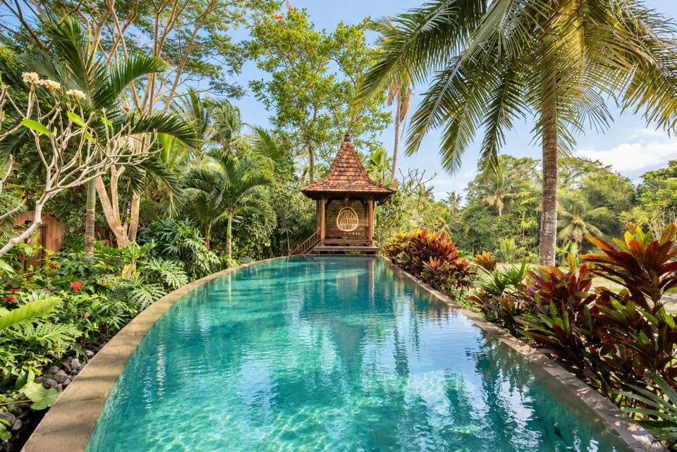 Day, Natural landscape, Garden, Garden view, Pool view, Swimming pool
