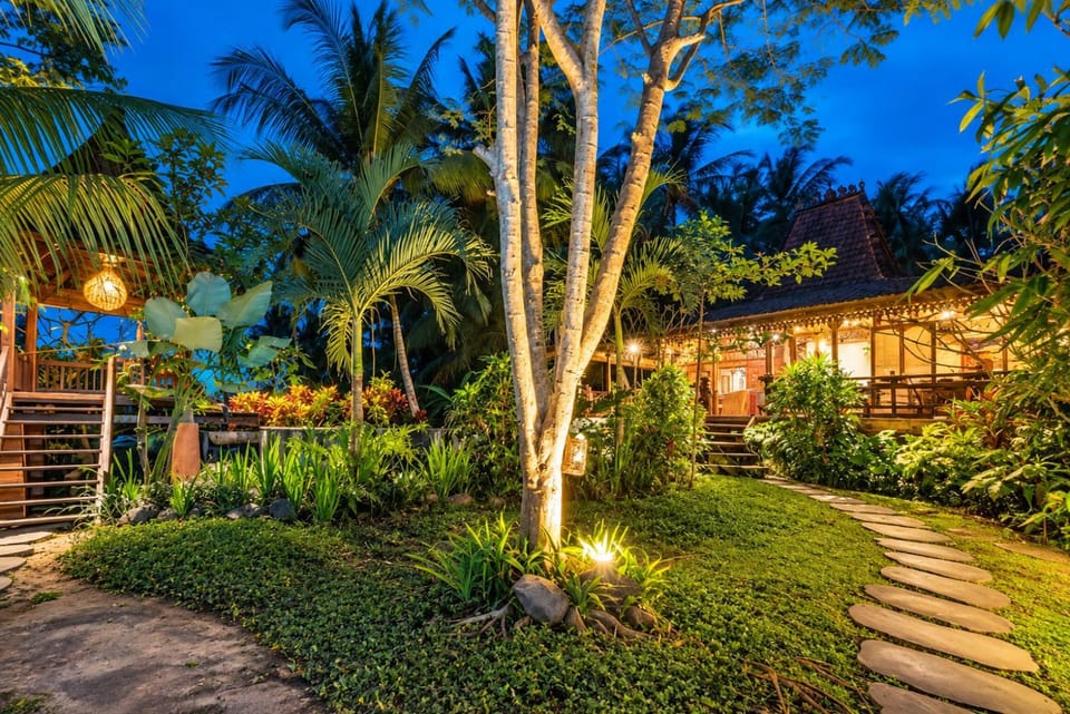 Property building, Night, Garden view