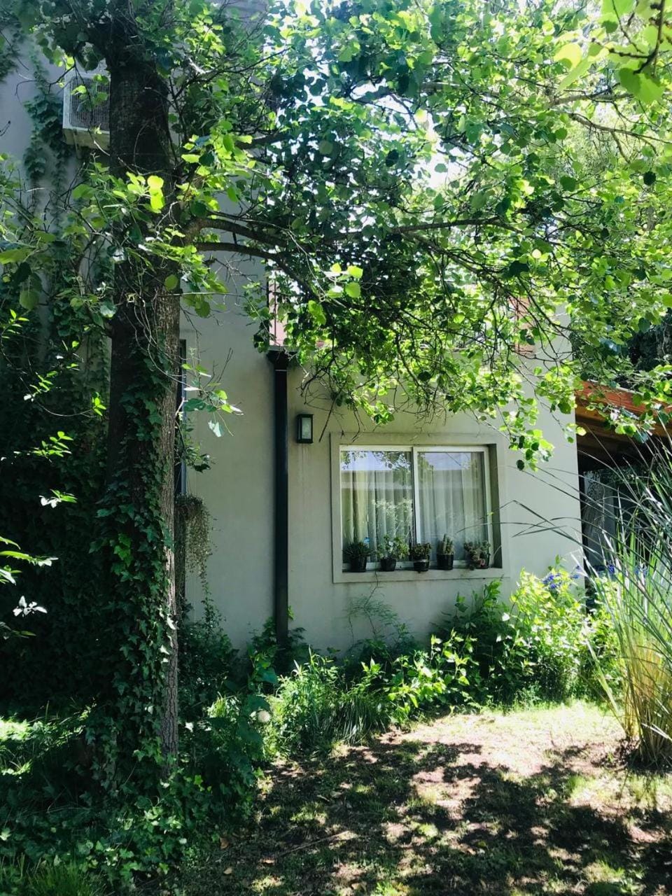 El Remanso Chascomus House in Chascomús