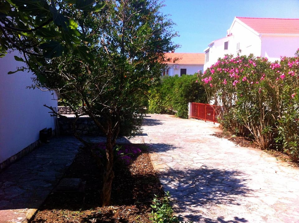 Summer, Garden, Garden view, Street view