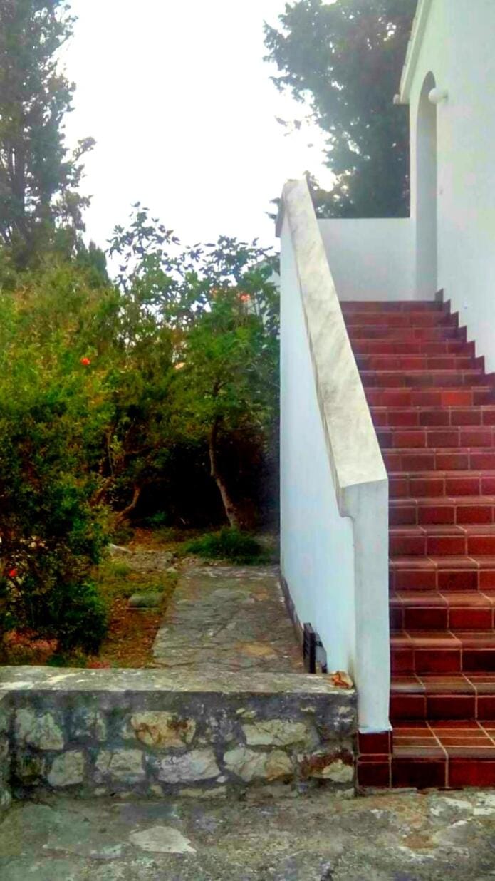 Facade/entrance, Garden view