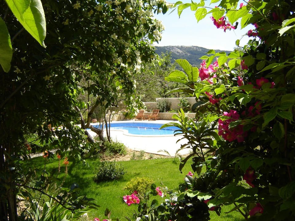 Garden, Swimming pool