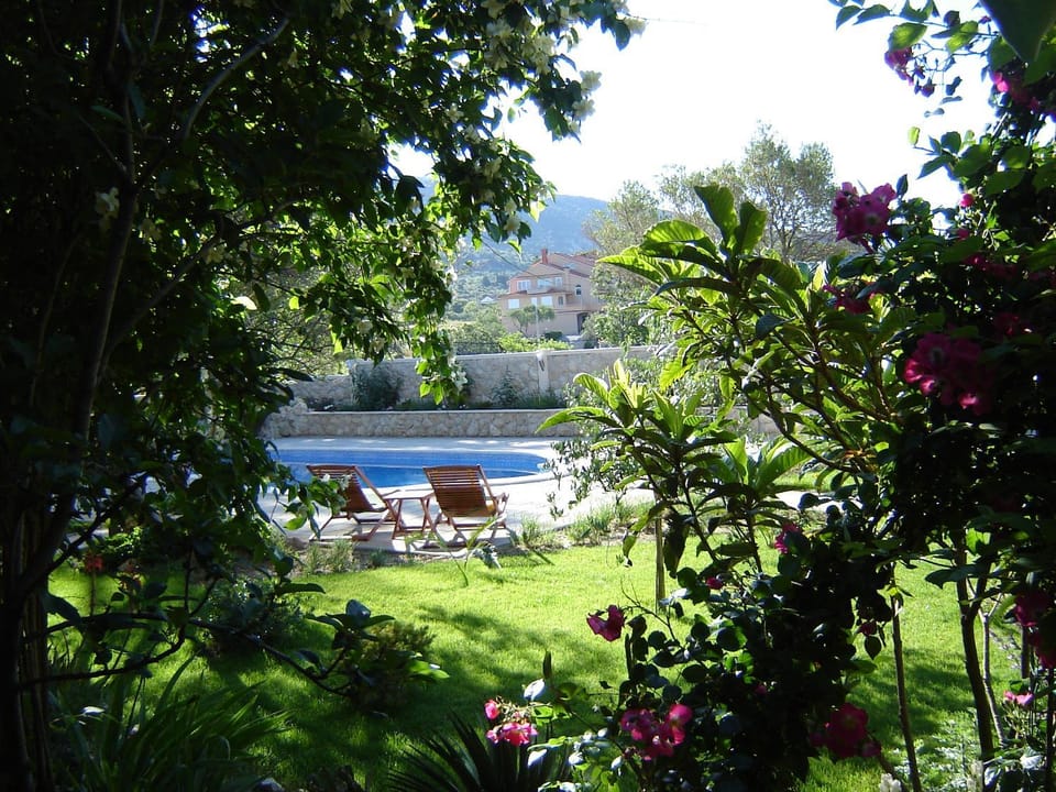 Garden, Swimming pool