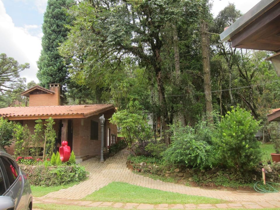 Natural landscape, Garden view