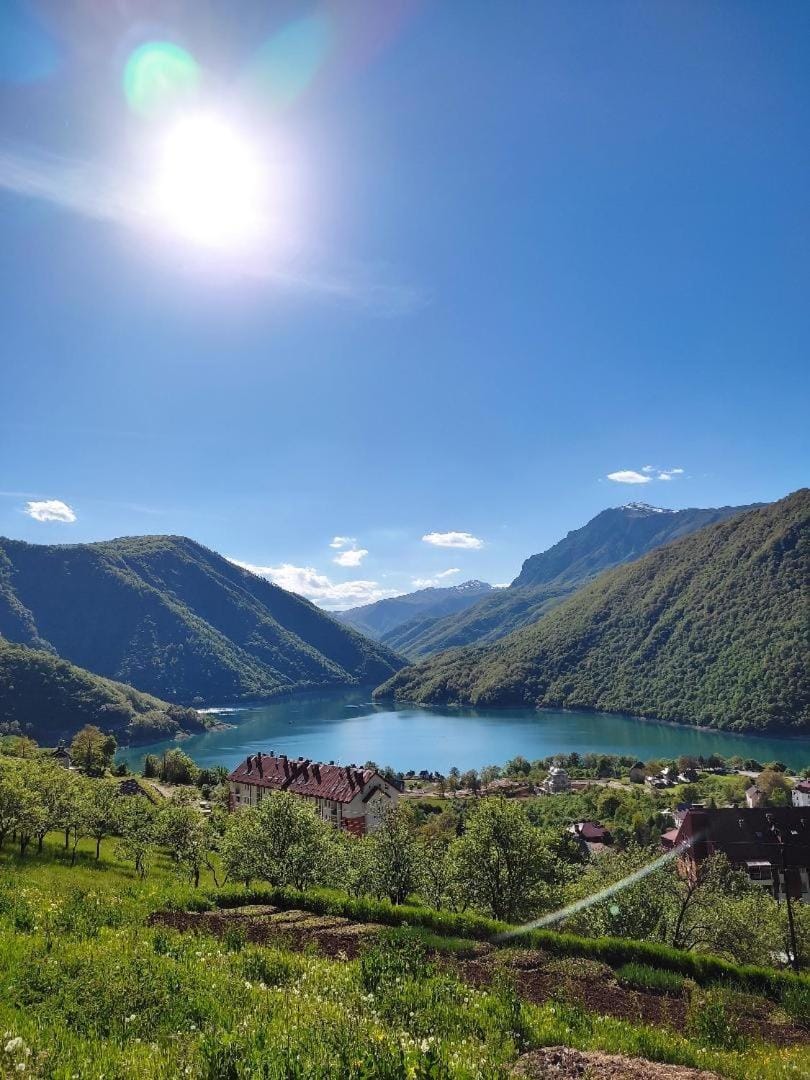 Guesthouse Madzarevic Bed and Breakfast in Montenegro