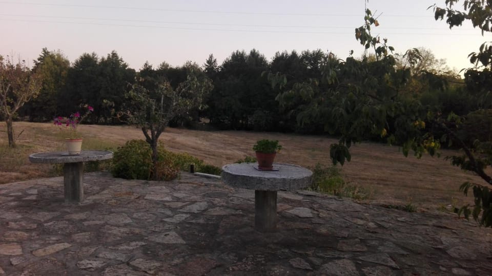 Natural landscape, Autumn, On site