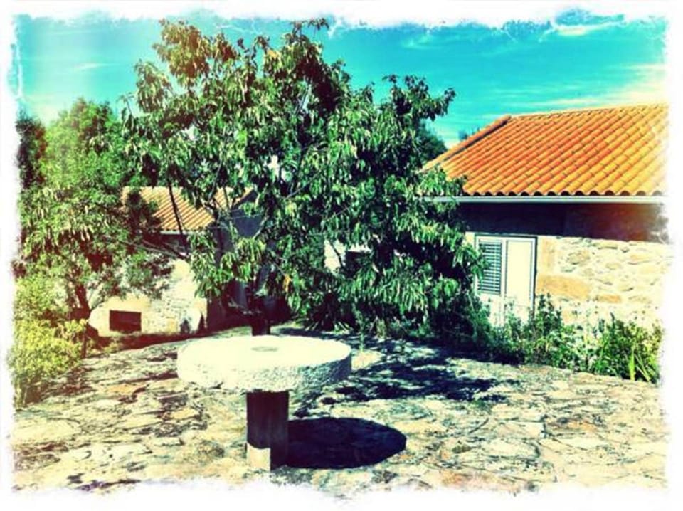 Patio, Off site, Summer