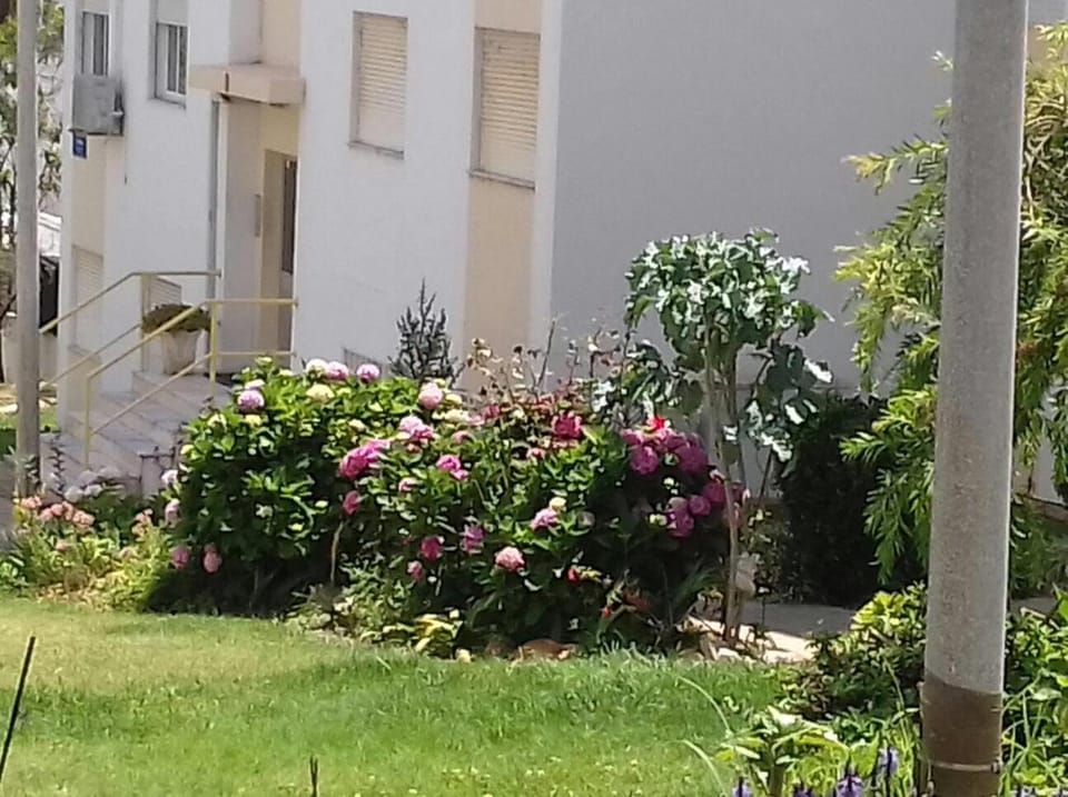 Tiagos Apartament Apartment in Faro