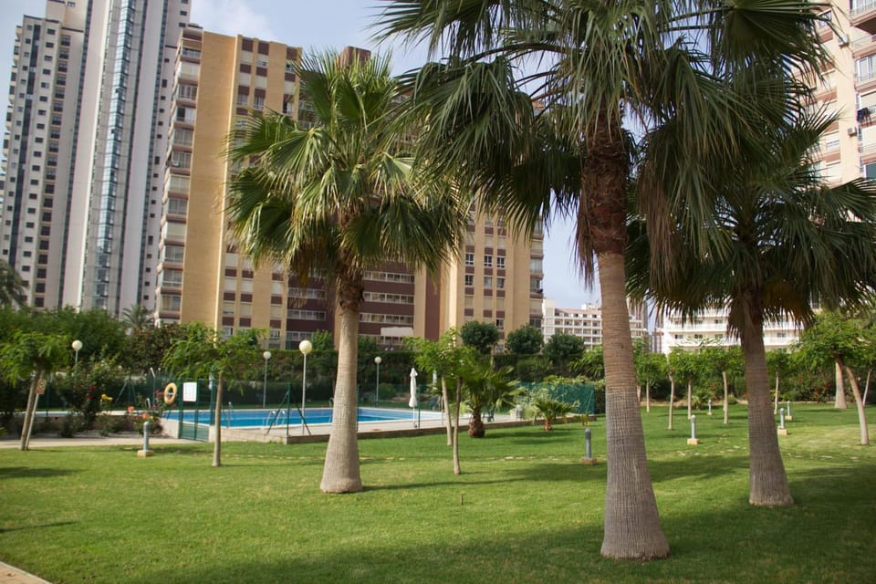 Patio, Off site, Garden