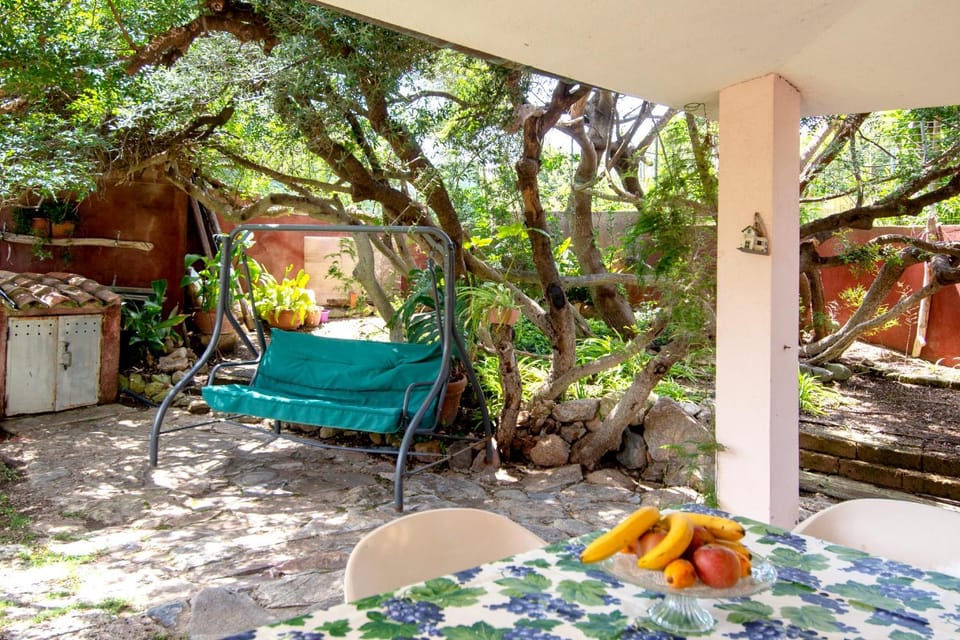 Patio, Garden