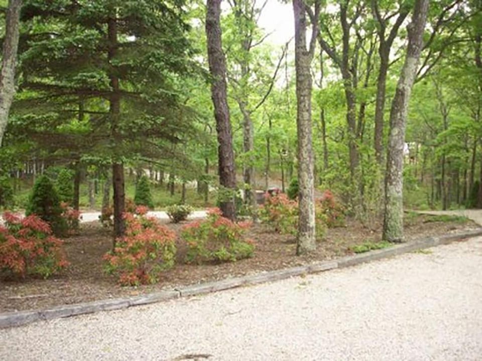 Garden, Area and facilities
