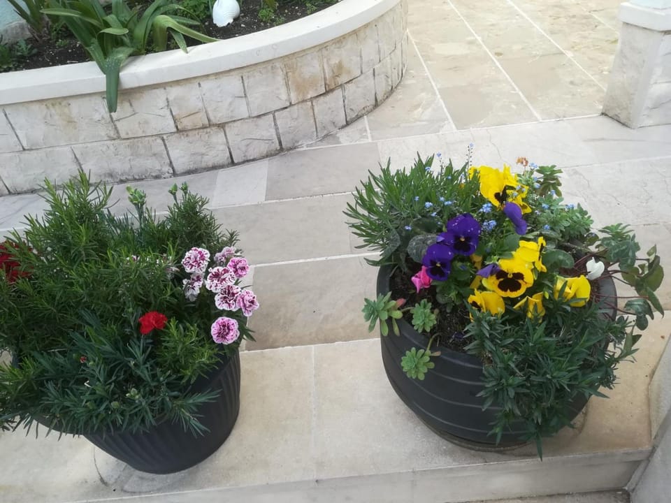 Apartmani Vidoš Apartment in Makarska