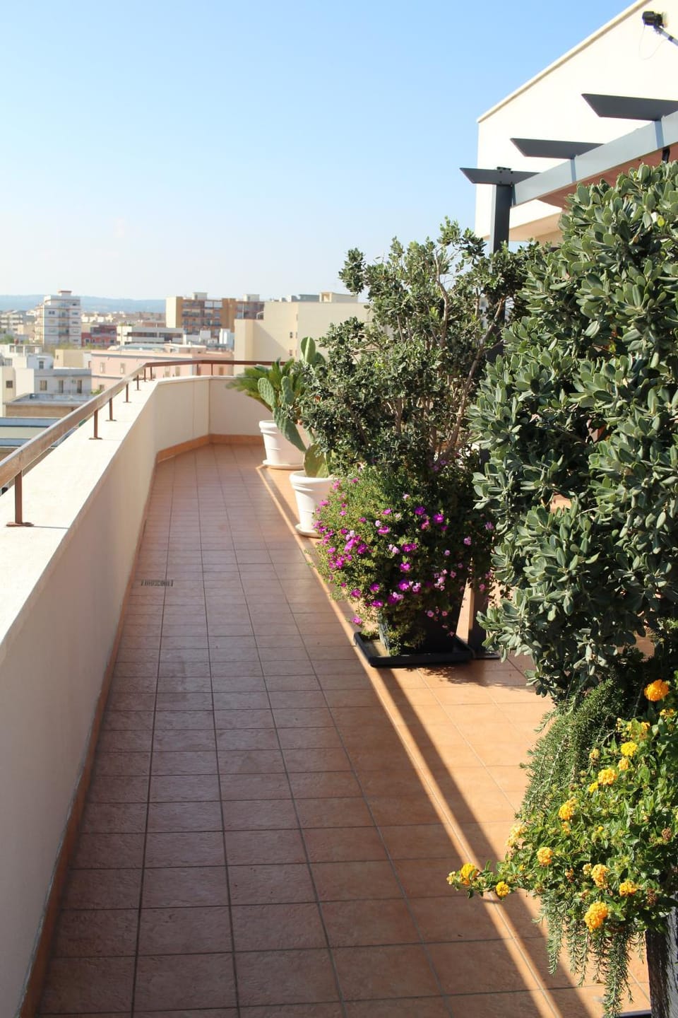 Balcony/Terrace, City view