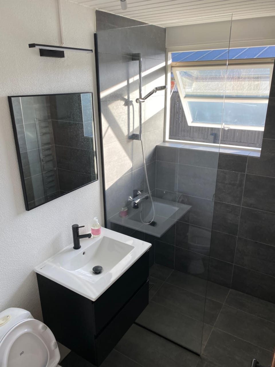 Emmas hus i Skagen Apartment in Denmark