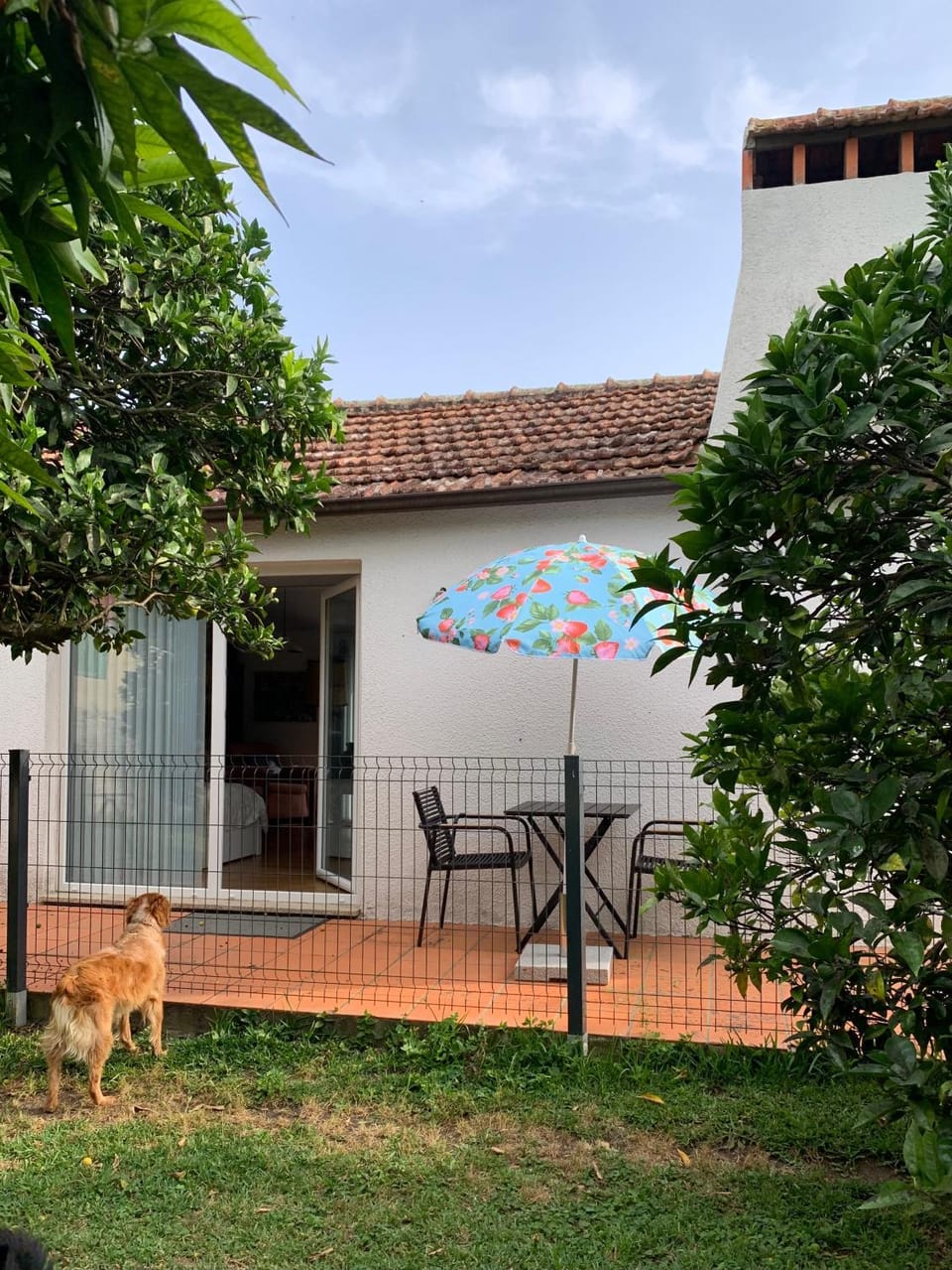 Property building, Patio, Day, Dining area