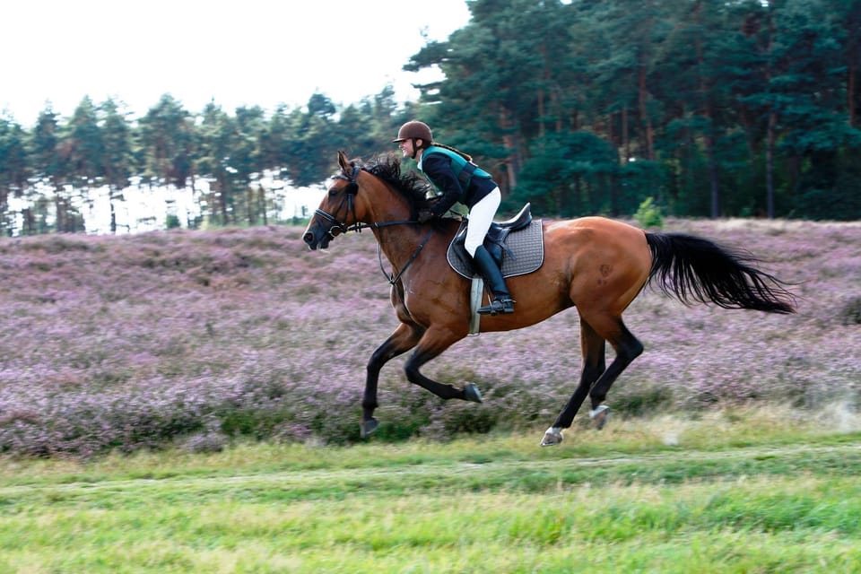 Horse-riding