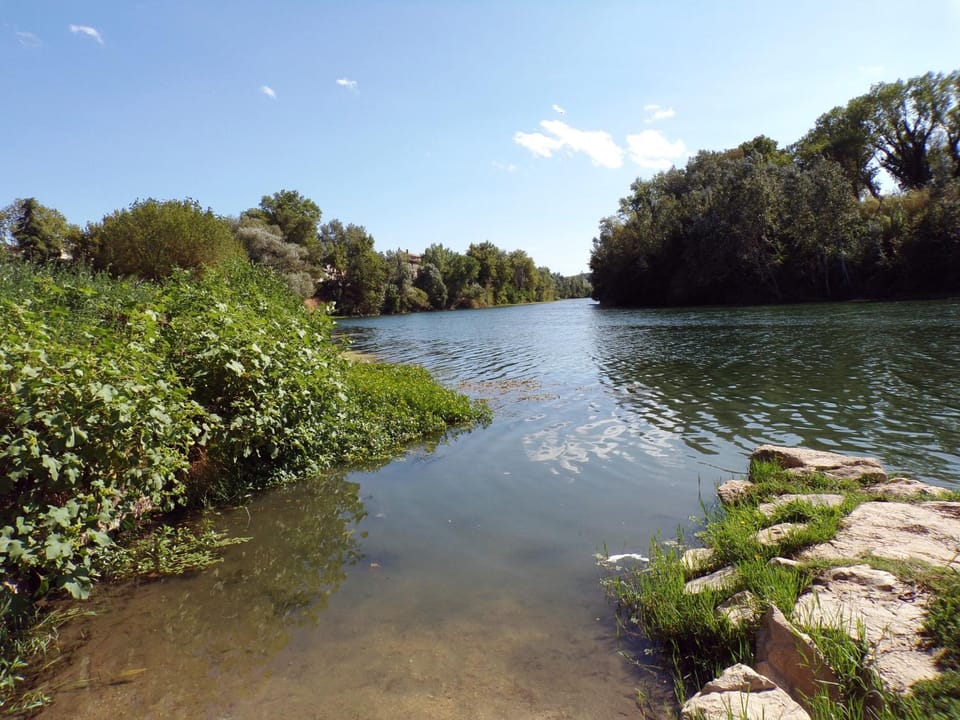 Off site, Day, Natural landscape, Summer, River view