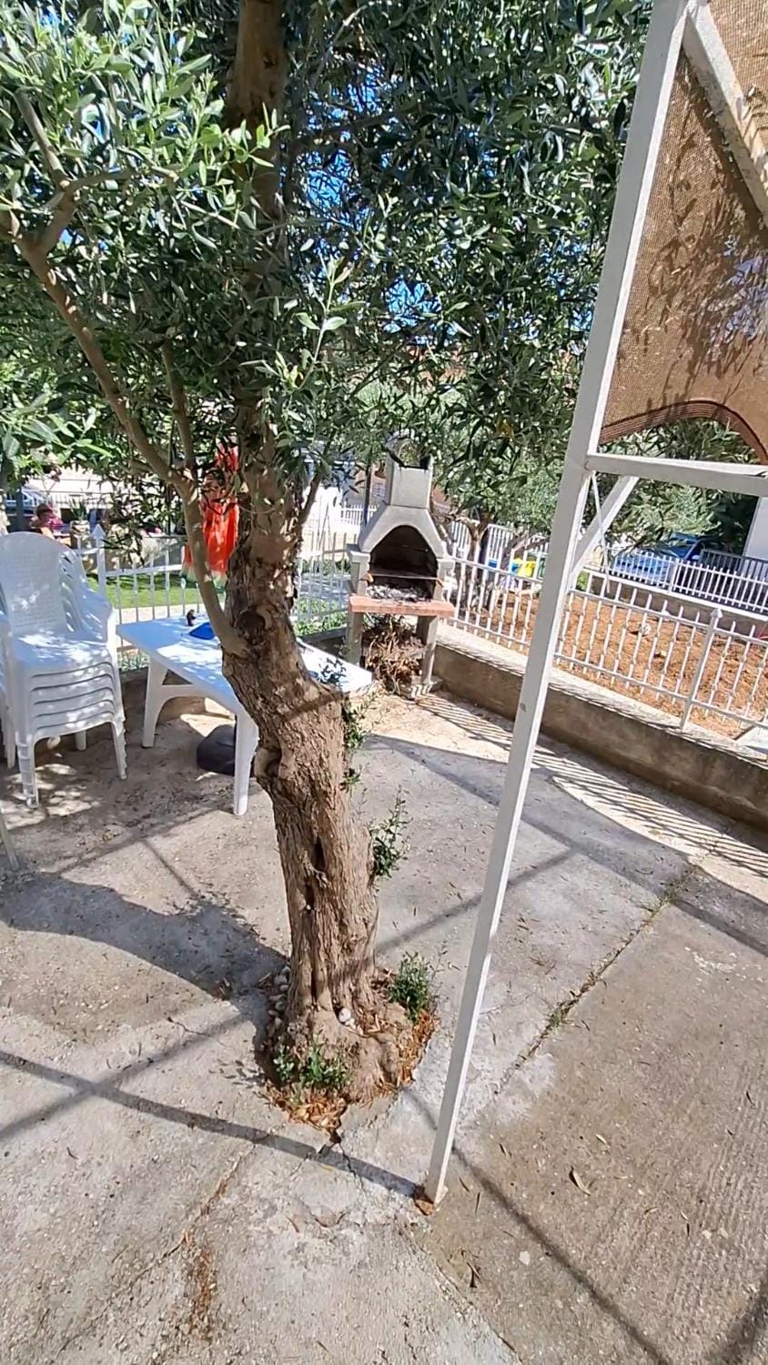Patio, Spring, Day, Garden view