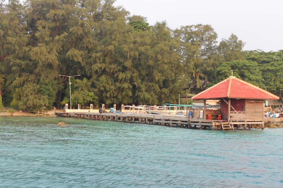 Area and facilities
