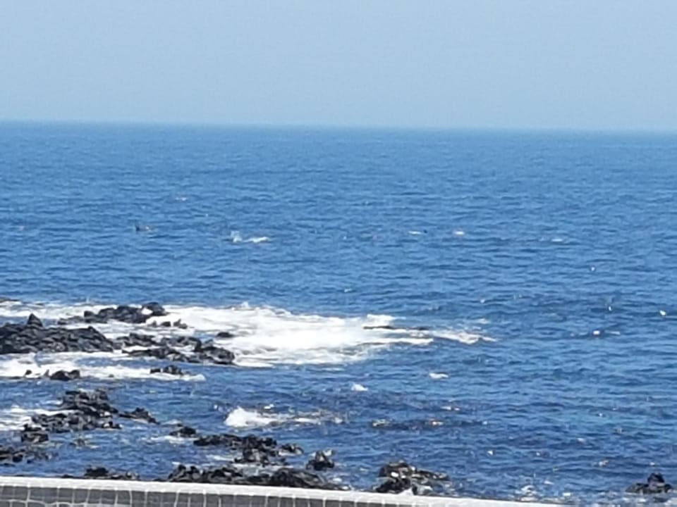 View (from property/room), Sea view