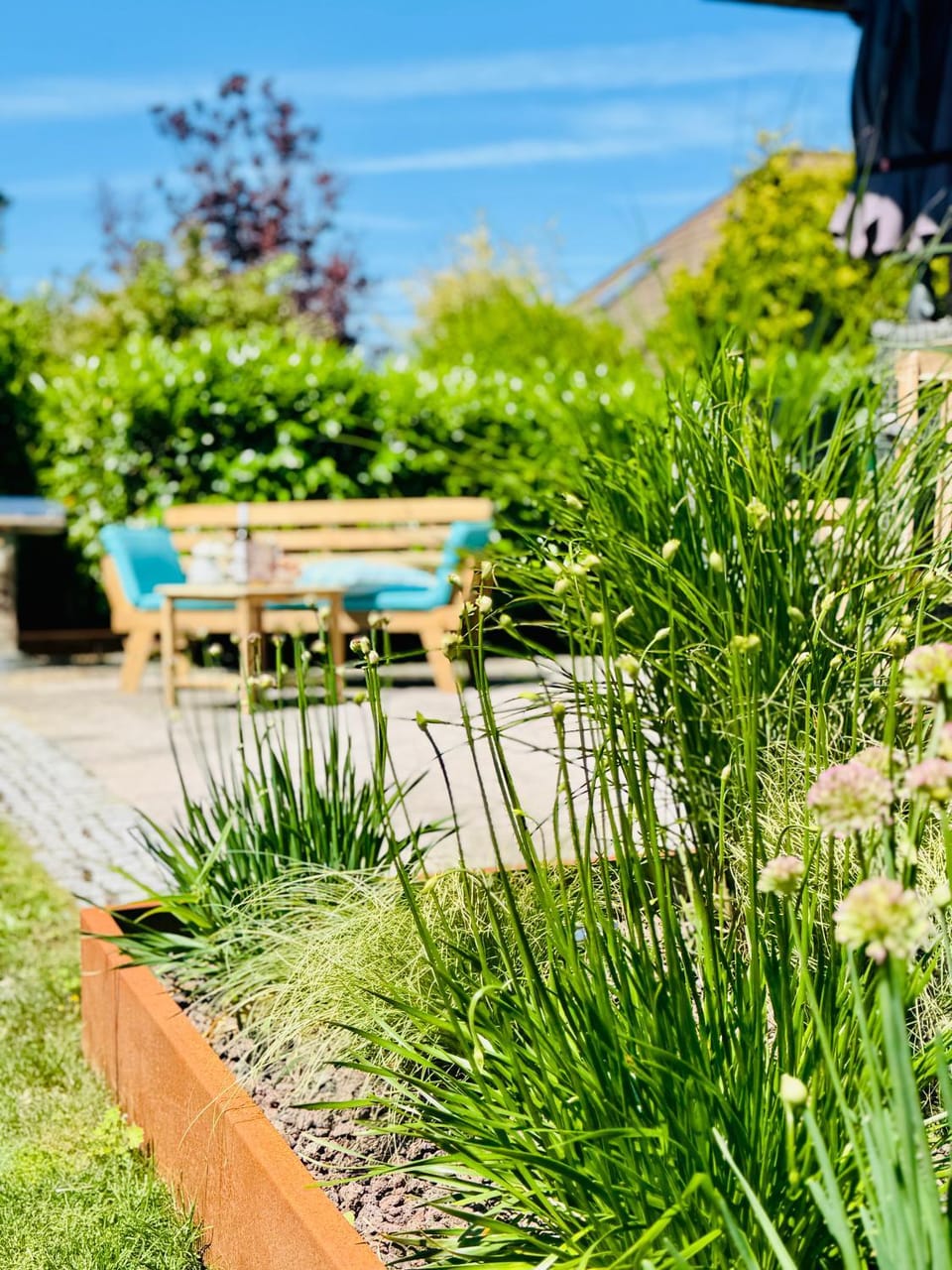 Natural landscape, Garden