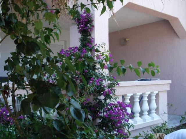 Apartments Mirjana - Stara Novalja Apartment in Novalja