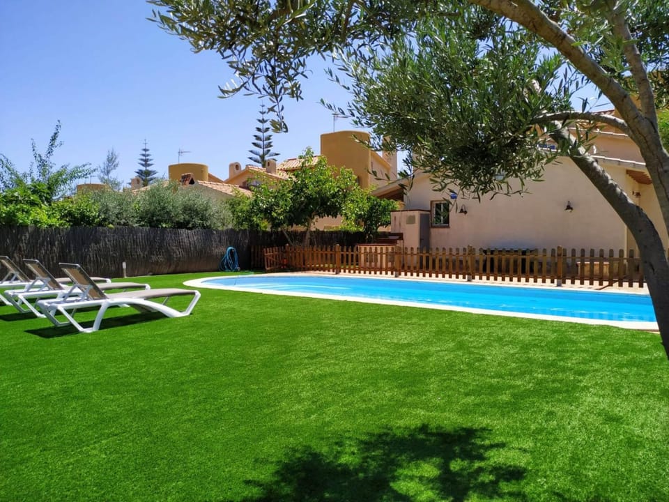Garden, Garden view, Pool view, Swimming pool, sunbed