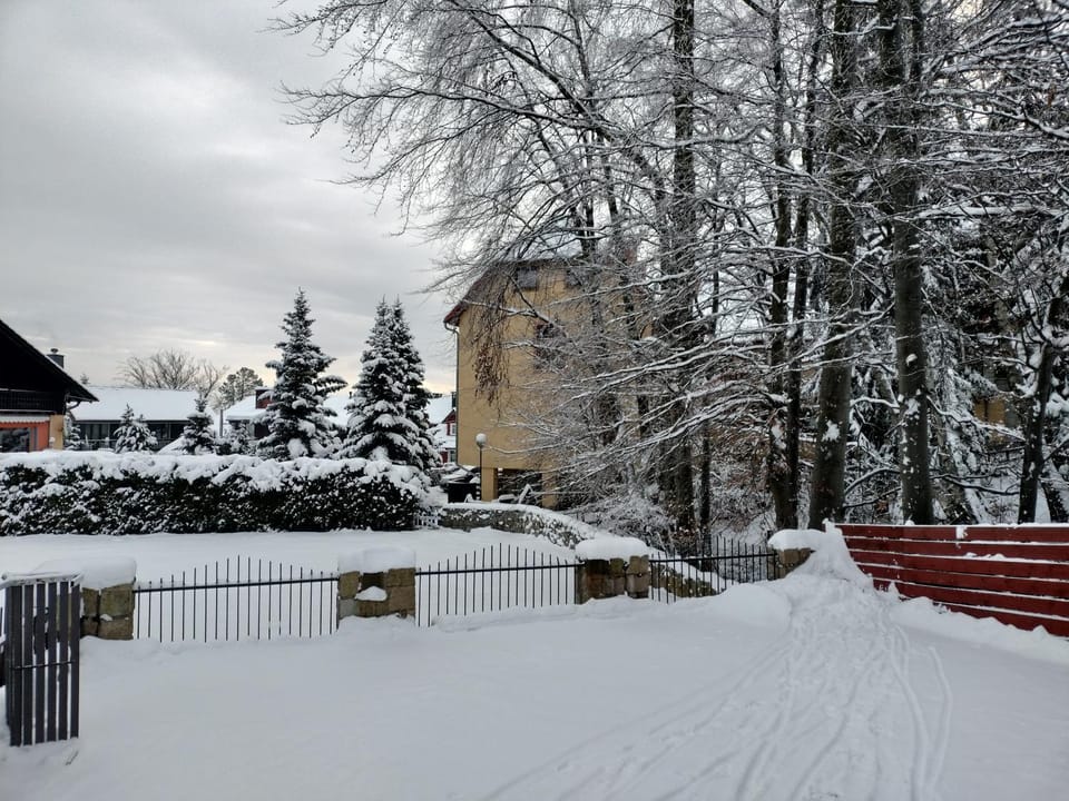 Winter