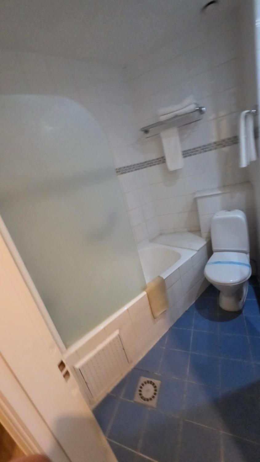 Toilet, Bathroom, Bath