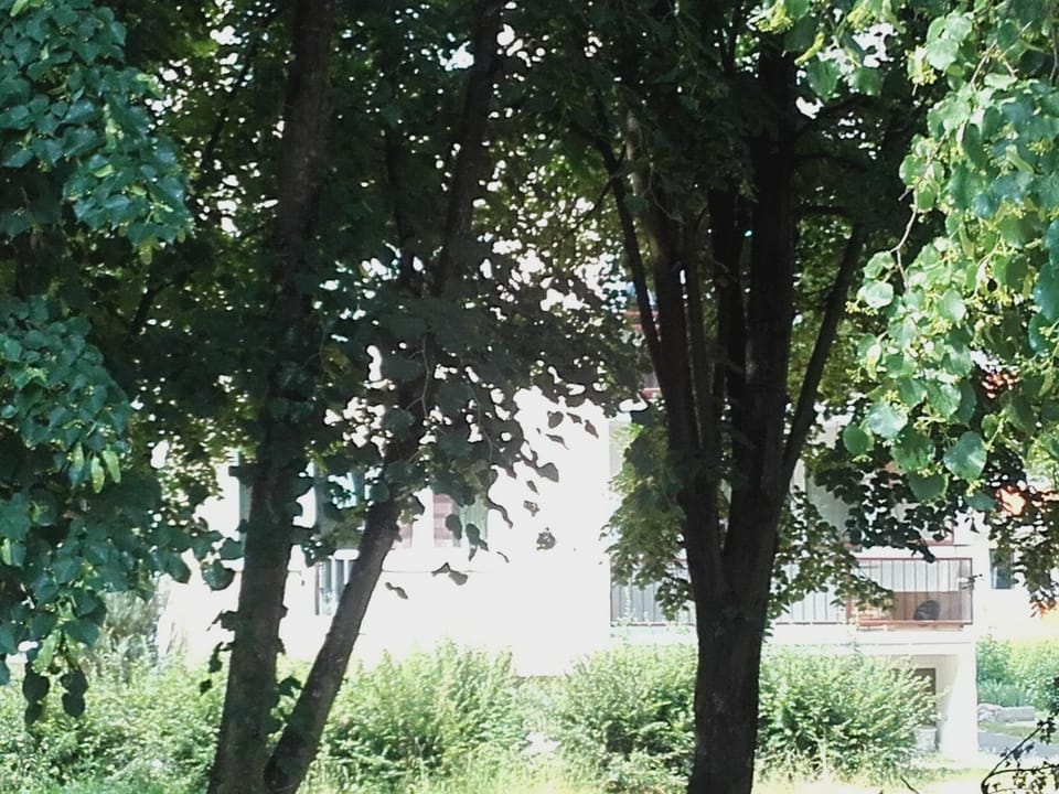Neighbourhood