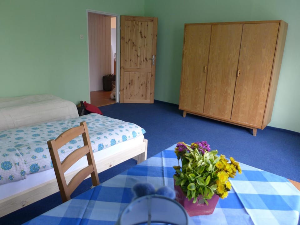 Photo of the whole room, Garden view, older children