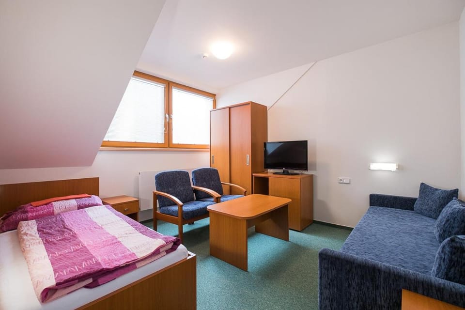 Apartmany ve Skiresortu Bukova hora Apartment in Czechia