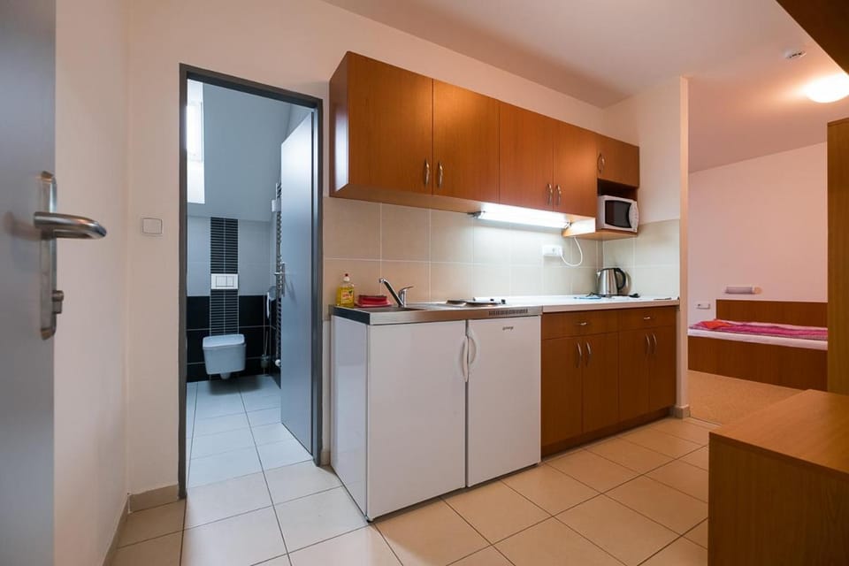 Apartmany ve Skiresortu Bukova hora Apartment in Czechia