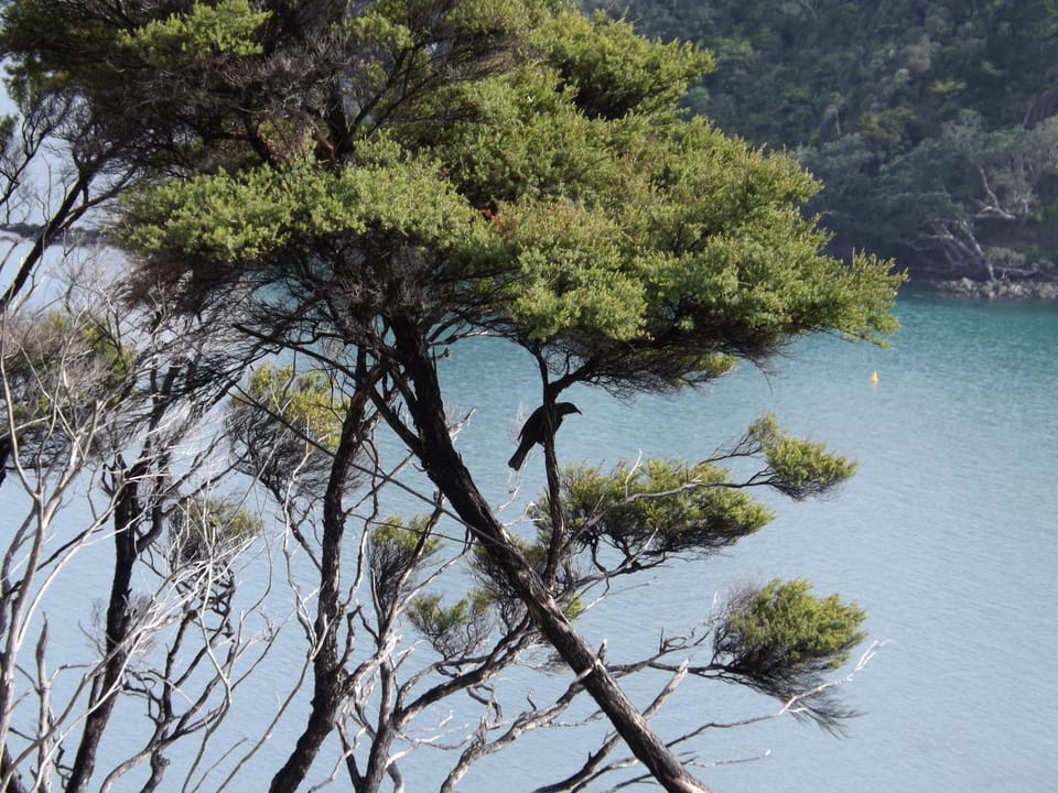 Property building, Natural landscape, Sea view
