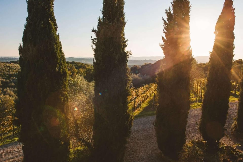 Fattoria Di Corsignano Farm Stay in Tuscany