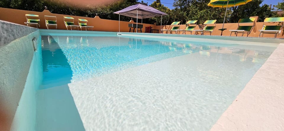 Decorative detail, Pool view, Swimming pool, sunbed