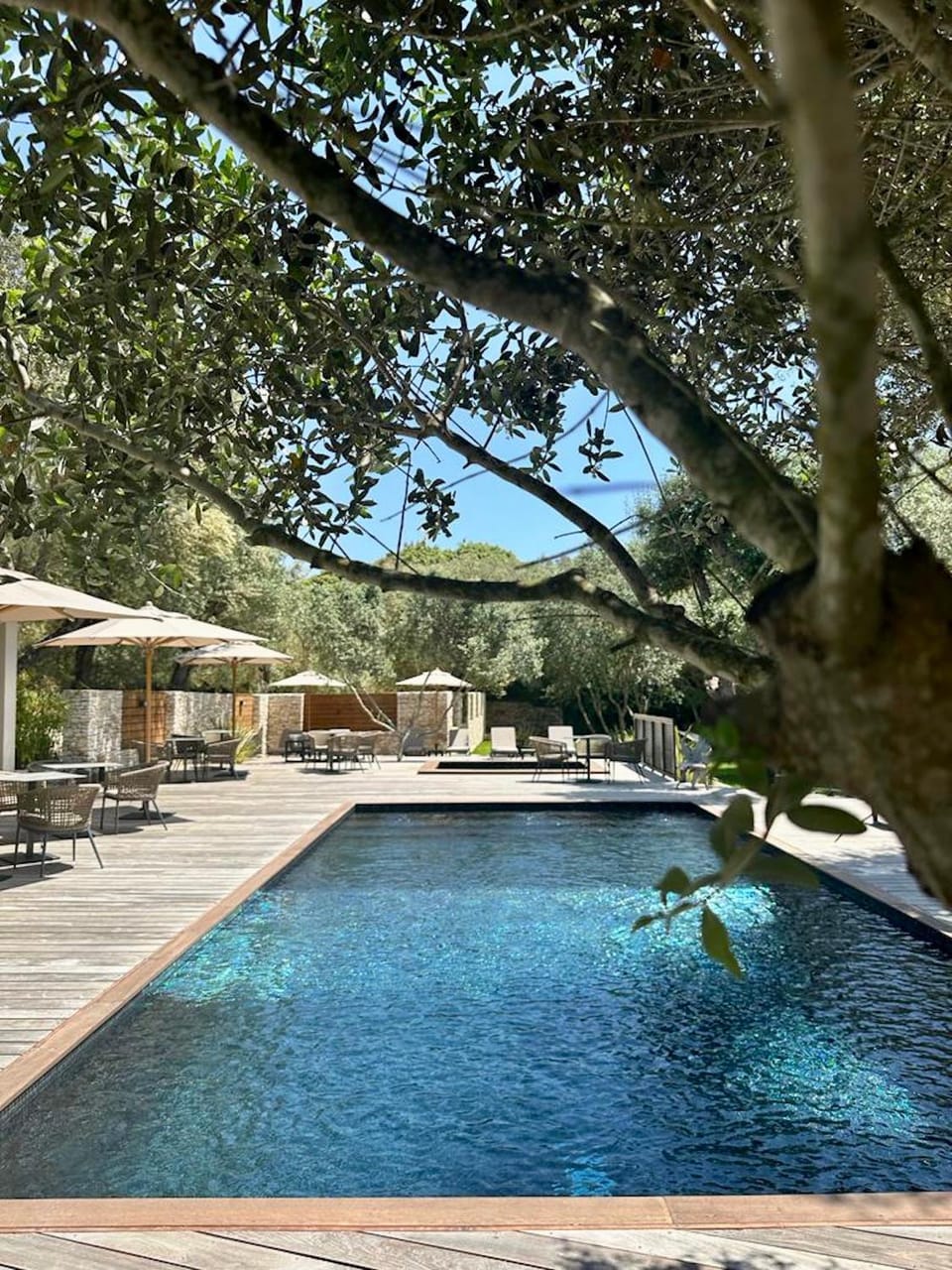 Balcony/Terrace, Swimming pool, sunbed