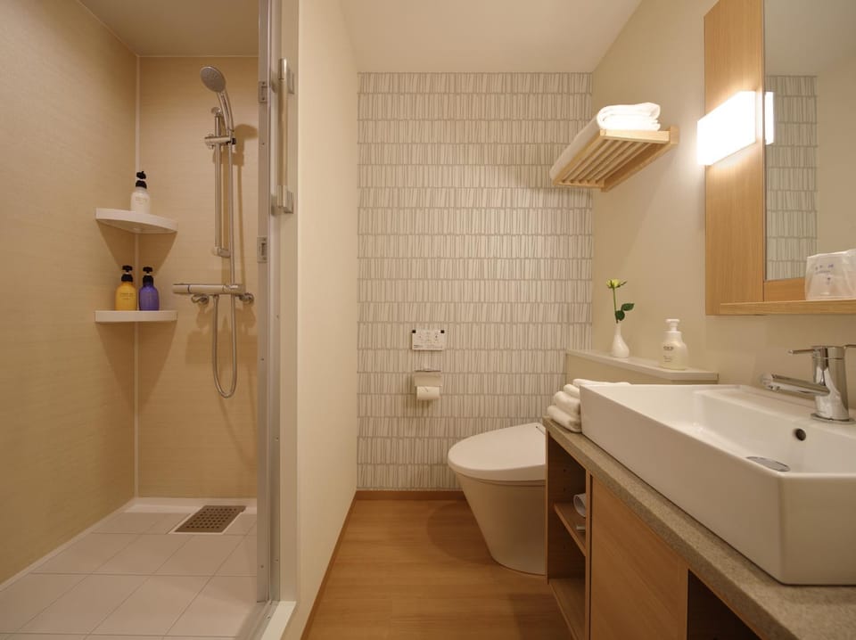 Toilet, Bathroom, Photo of the whole room