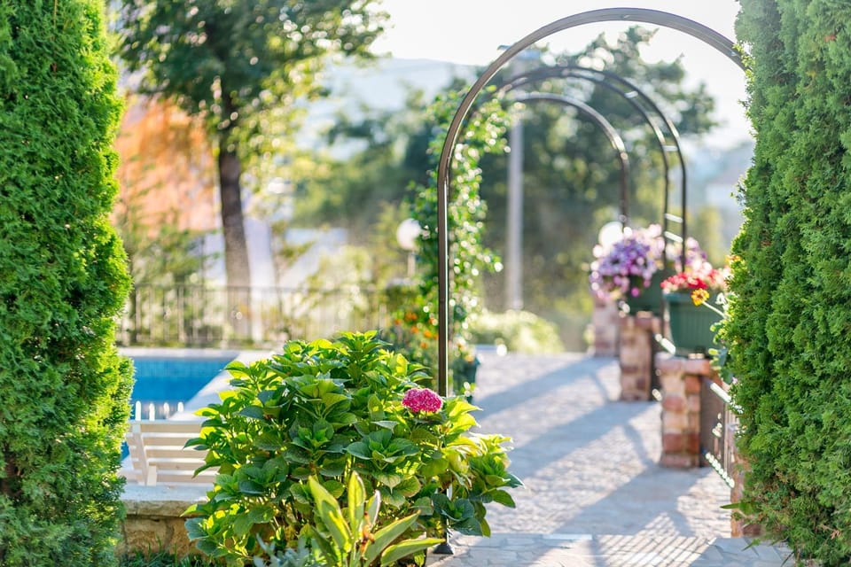 Day, Summer, Garden view, Family