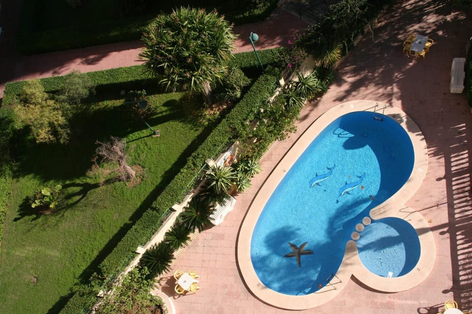 Garden, Swimming pool