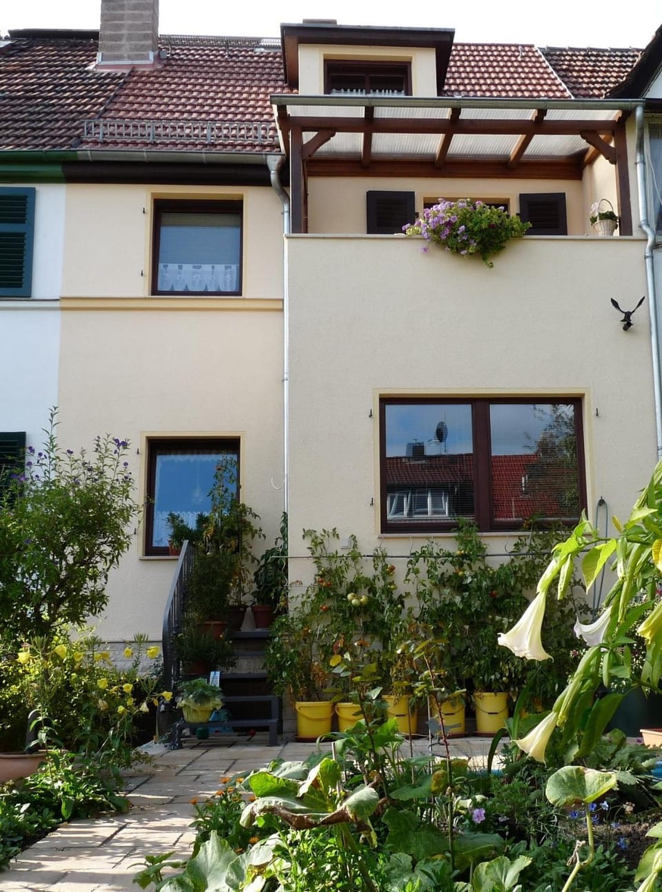 Patio, Garden