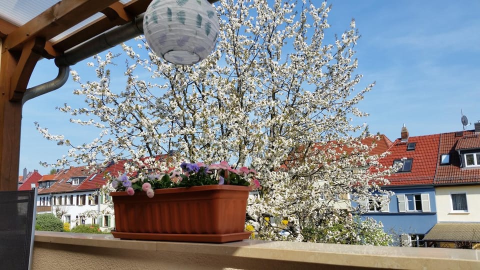 Balcony/Terrace, City view, City view, Garden view, Garden view, Inner courtyard view