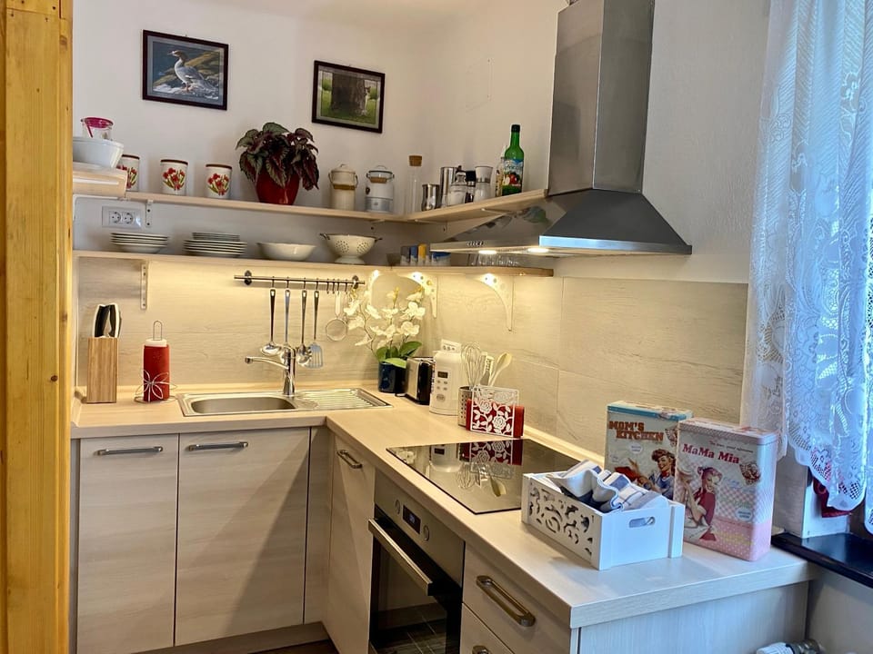 Kitchen or kitchenette, dishwasher, oven, stove