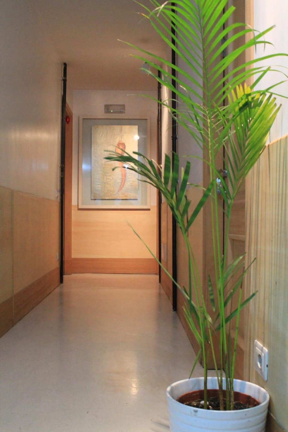 A Casa Di Penelope Bed and Breakfast in Rome
