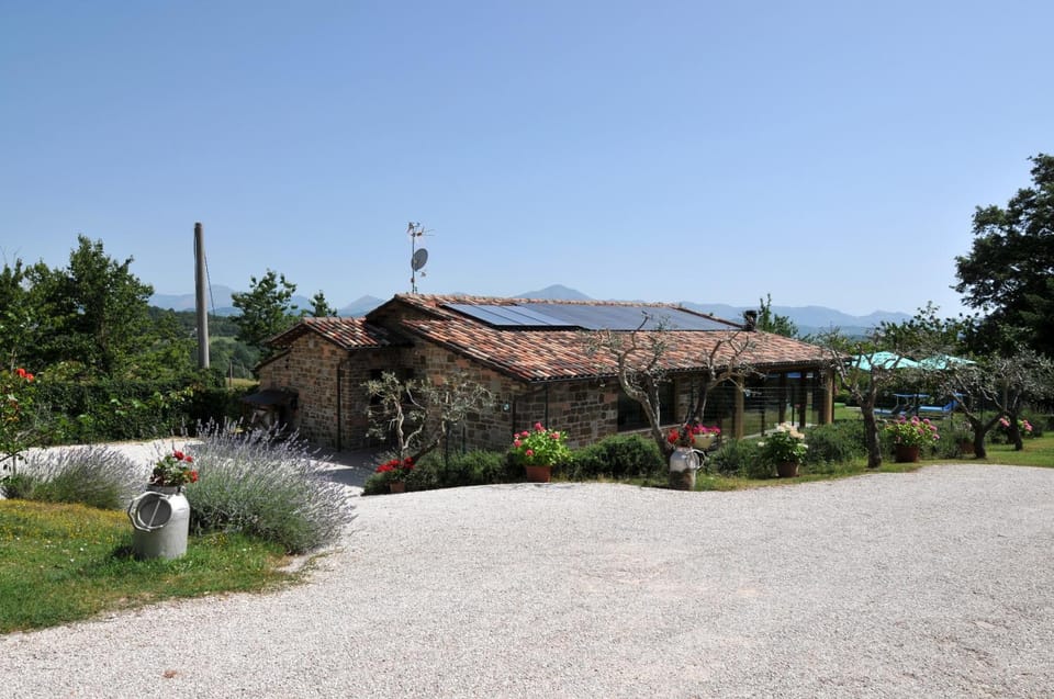 Property building, Spring, Day, Natural landscape, Garden, Garden view, Mountain view