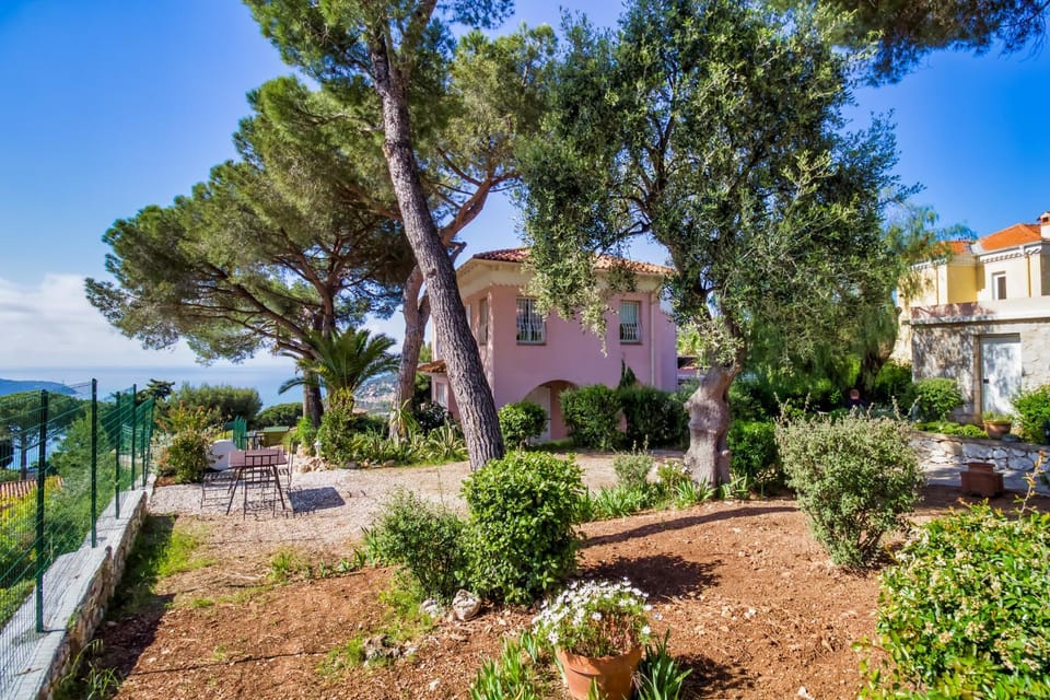 Day, Natural landscape, Garden, Garden view