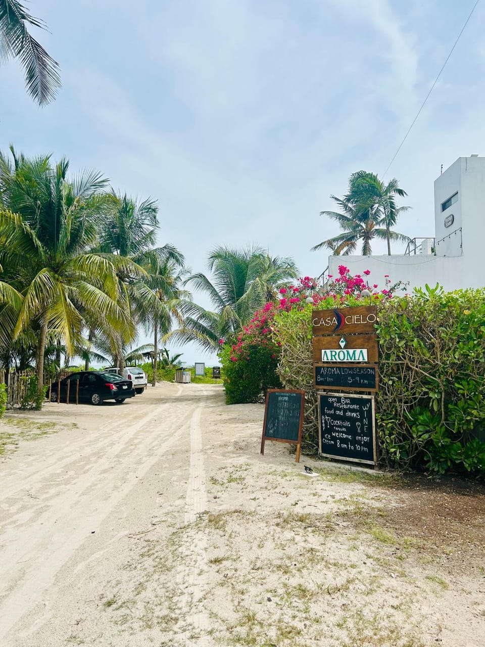 Natural landscape, Street view, Parking