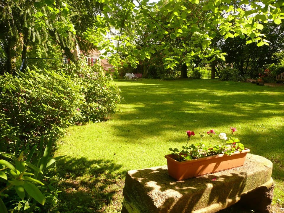 Garden, Garden view