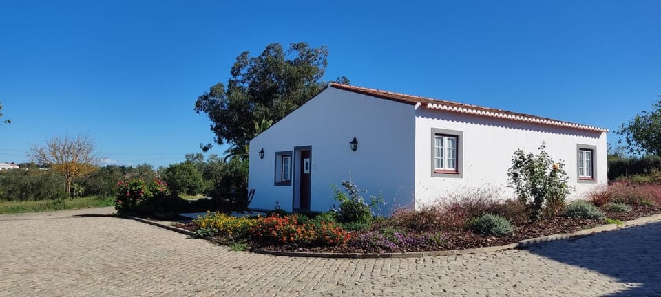 Property building, Garden, Garden